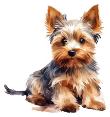 Fototapeta premium PNG Terrier mammal animal pet.