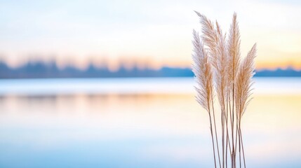 Tranquil lake at dawn, with fluffy grass