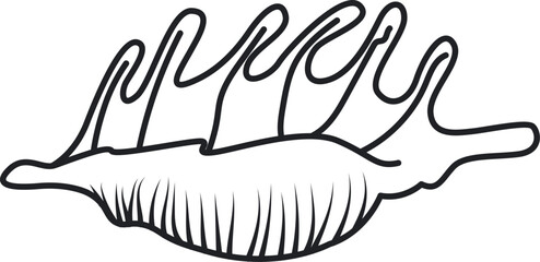 Marine Seashell Outline