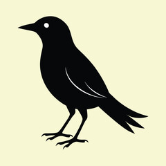 Obraz premium crow on a branch