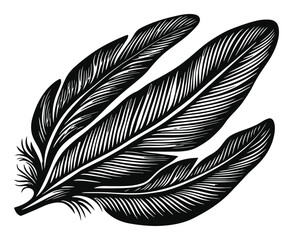Obraz premium Black and White Feather Illustration with Intricate Detailing