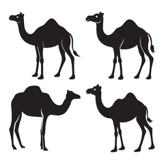 Desert Animal Camel Silhouettes Vector Graphic Design