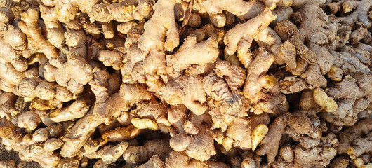 A pile of fresh green ginger open sell in Indian market.