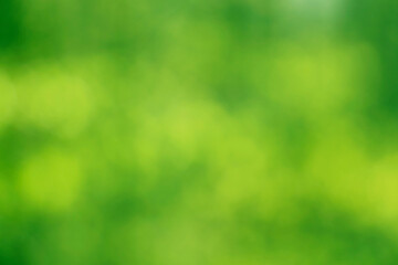spring early summer season. seasonal Light of out focus, defocused Blurred background. Bokeh from natural green fresh leaves. bokeh of sun shining on a tree with green leaves. summertime springtime