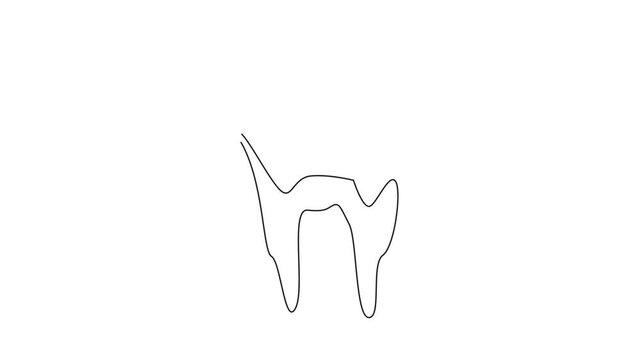 Animation of single continuous line drawing tooth with the bottom covered in blood. Consequences of inconsistent brushing. Not clean enough. International Scurvy Awareness Day. Full length motion