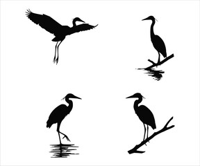 set of heron silhouettes highlights the birds engaged in different activities like flying, fishing, and resting, all presented in a sleek black and white design.