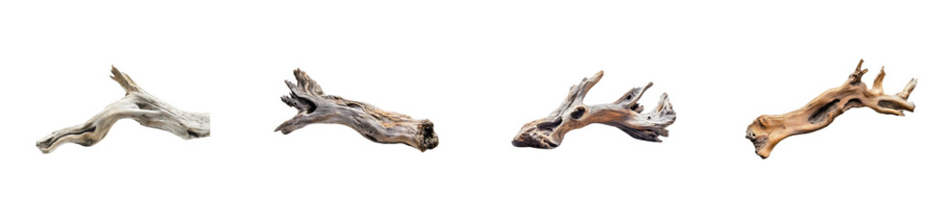 Obraz premium Varied driftwood pieces displayed in a row, cut out - stock png