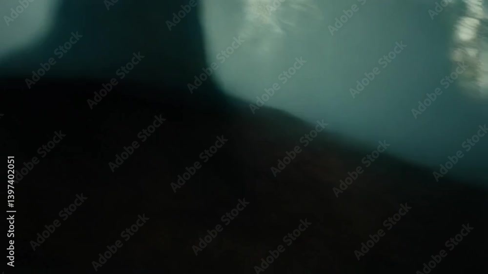 Poster rack the camera as it moves forward through the dense fog, passing tall trees and obscured areas
