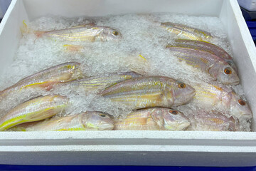 Fresh fish for sale on ice in a supermarket.