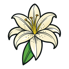 Cartoon Style White Lily Flower with Green Leaves and Black Outline on White BG