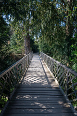 Footbridge made of wood and steel in nature