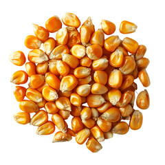 Golden Corn Kernels Close Up View,