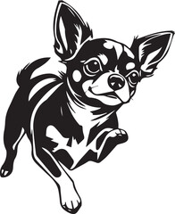 Chihuahua dog . Hand drawn vector illustration	