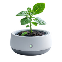 Smart Pot Growing Green Plant Seedling