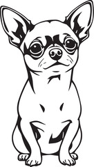 Chihuahua dog . Hand drawn vector illustration	
