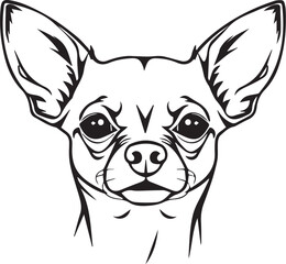 Chihuahua dog . Hand drawn vector illustration	