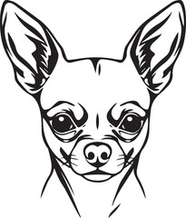 Chihuahua dog . Hand drawn vector illustration	