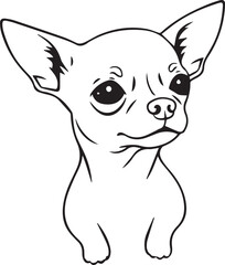 Chihuahua dog . Hand drawn vector illustration	