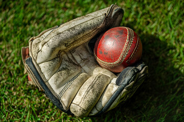 A cricket ball and glove resting on vibrant grass