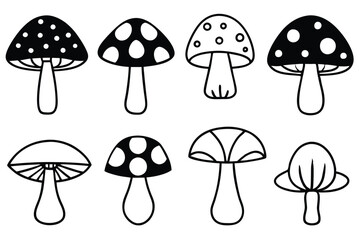 Champignons Exploring Unique Flavors of Wild Mushrooms