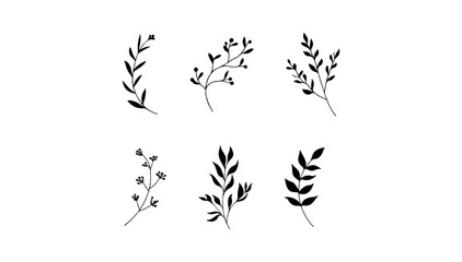 Bold silhouette botanical element. A bold silhouette botanical element with high contrast leaf and plant shapes.