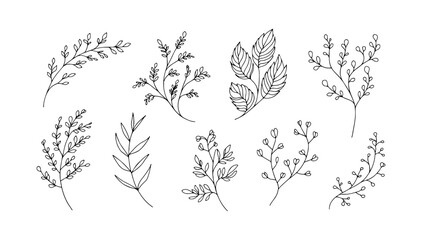 Bold silhouette botanical element. A bold silhouette botanical element with high contrast leaf and plant shapes.