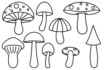 Champignons Perfect Ingredients for Elegant Mushroom Dishes