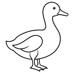 It's a duck on a white background