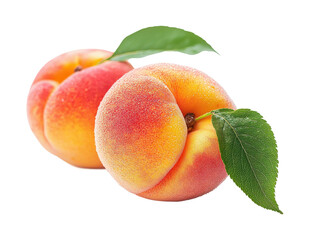 Fresh peaches harvested orchard food bright isolated on transparent background, png