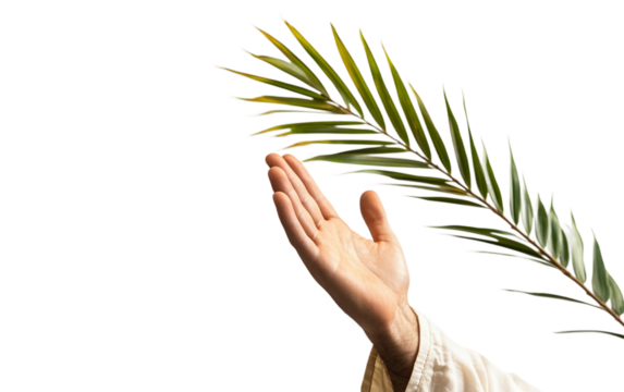 An artistic representation of Jesus' palm raised in a sacred blessing pose Isolated on transparent background.