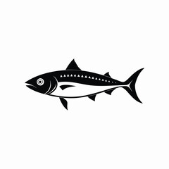 Black and white Atlantic mackerel (Scomber scombrus) side view illustration on white background.eps
