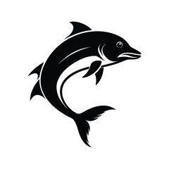 Black and white mahi-mahi (Coryphaena hippurus) jumping pose illustration on white background.eps