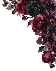 Watercolor dark red, burgundy, marsala, and black roses floral border, vintage victorian gothic style. Botanical corner frame. PNG clipart. © john