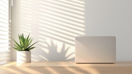 Fototapeta premium Minimalistic workspace with sunlight through blinds, featuring a potted plant and a closed laptop.