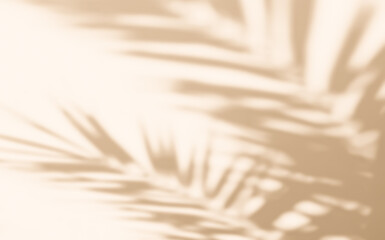 Shadow of leaves tree plant overlay on white wall. Sunlight effect shadow on the wall. Minimal blurred backdrop backgrounds. Summer tropical surface background
