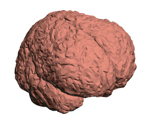 A brain is shown in a 3D model, with a rough texture and a reddish color. The brain is depicted as a solid object, with no visible details or features. Scene is somewhat abstract and artistic