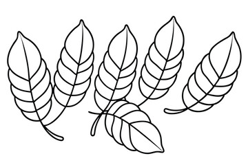 Tamarind Leaf Vector Set Collection