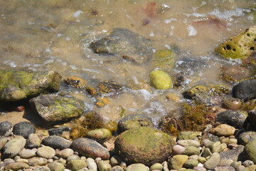 Rocky shoreline with clear water and pebbles under sunlight during low tide