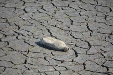 Plastic bottle on dry cracked earth in an arid area highlighting environmental pollution and drought conditions