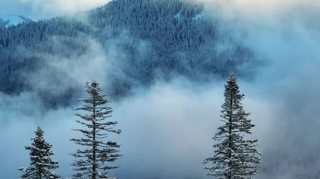 Ilgaz Mountains National Park Ski Resort on the Border of Kastamonu and &Ccedil;ankırı Provinces Drone Video, Kastamonu Turkiye (Turkey)

