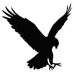 Eagle Silhouette Vector of Flying Bird with Open Wings and Sharp Talons