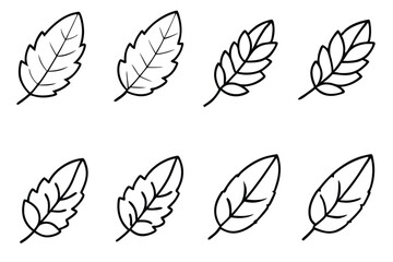 Tamarind Leaf Silhouette Set