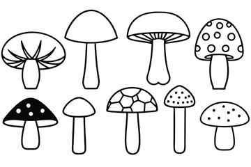 Edible Mushrooms Popular Varieties and Their Uses