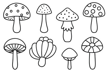 Edible Mushrooms Varieties to Try in Your Kitchen