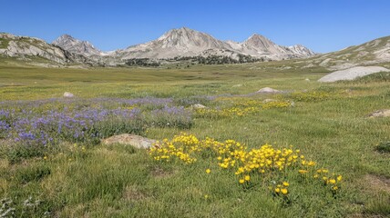 Vibrant Wildflower Meadow and Rocky Mountain Range Under a Clear Blue Sky