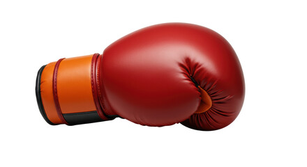 Isolated Boxing Glove