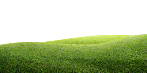 green grass field/Green grassy hills stretch gently under a clean white background, creating a simple and peaceful natural scene.