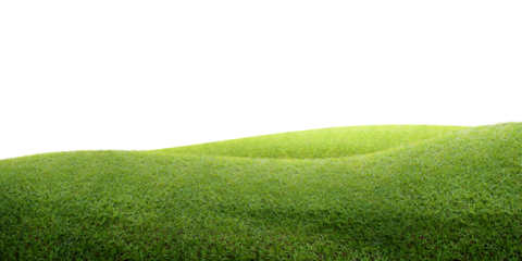 green grass field/Green grassy hills stretch gently under a clean white background, creating a simple and peaceful natural scene.