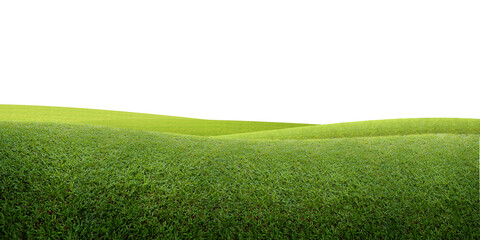 Green grassy hills stretch gently under a clean white background, creating a simple and peaceful natural scene.