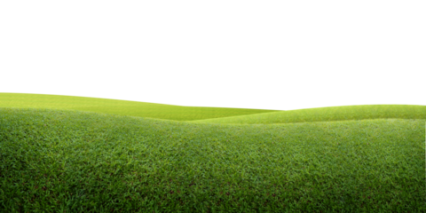 Green grassy hills stretch gently under a clean white background, creating a simple and peaceful natural scene.